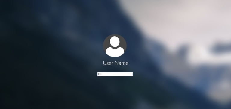How to Disable the Windows 10 First Logon Animation?