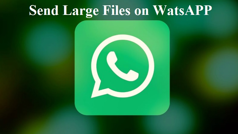 maximum file size whatsapp