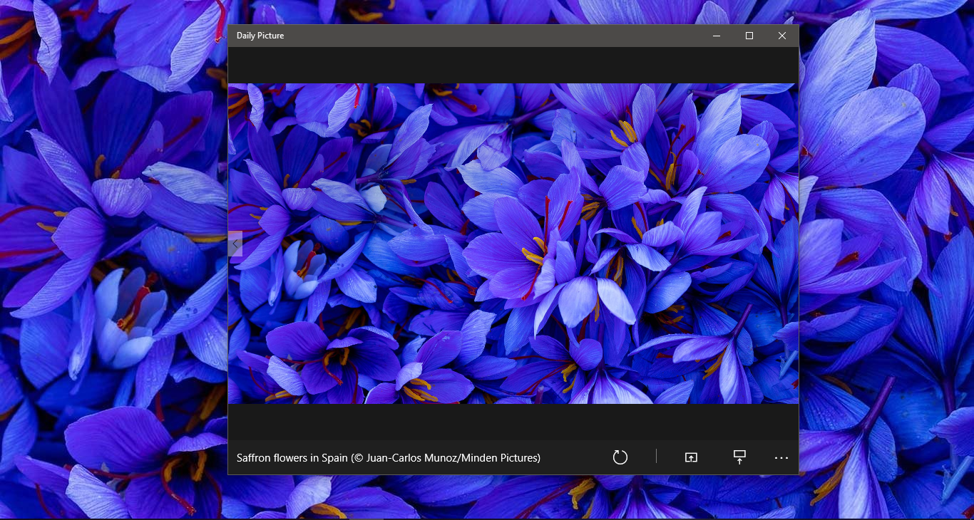 Before you download the new Bing Desktop wallpaper set