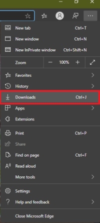 Download option from menu