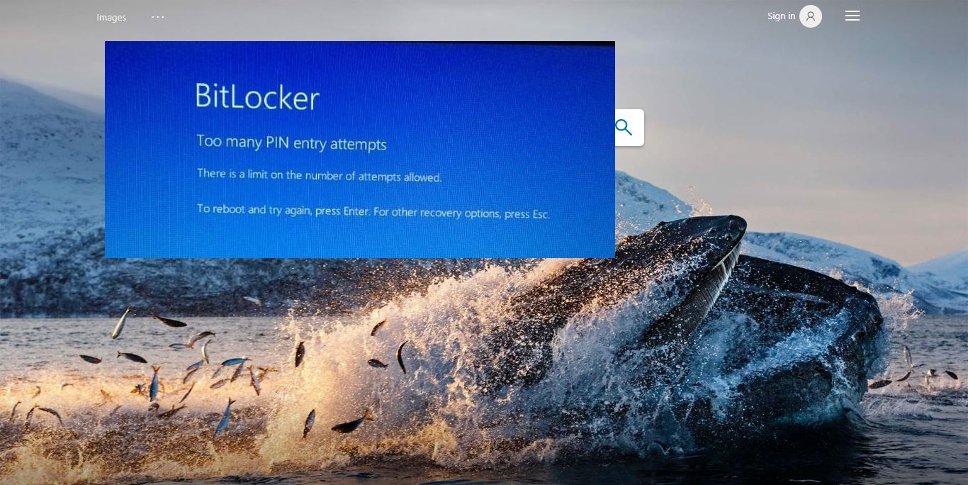 Fix Too many PIN entry attempts BitLocker error in Windows 10