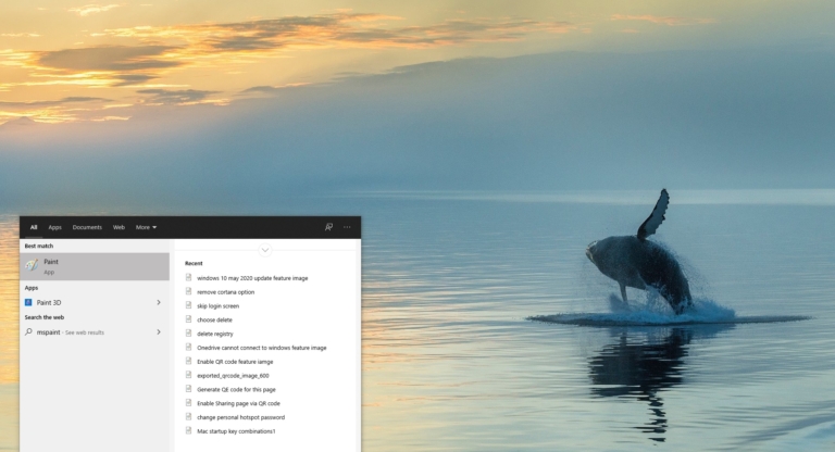 How to clear recent MSPaint History in windows 10?