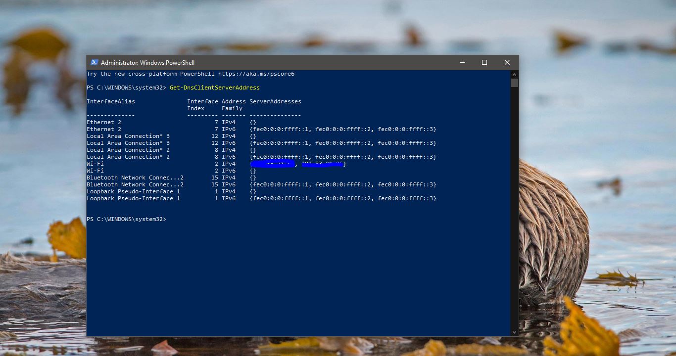 How to Change DNS Server Using PowerShell?