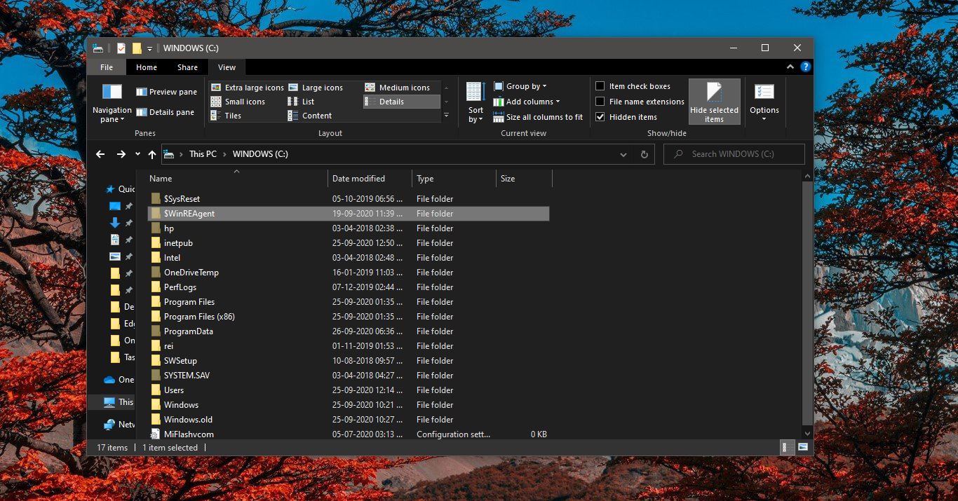 What is WinREAgent Folder in Windows 10?