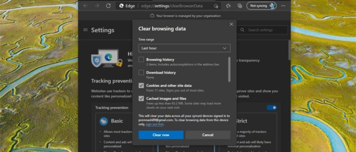 prevent users from deleting browsing history