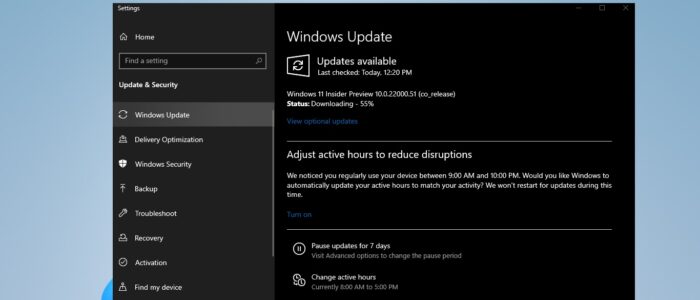 Install windows 11 insider preview