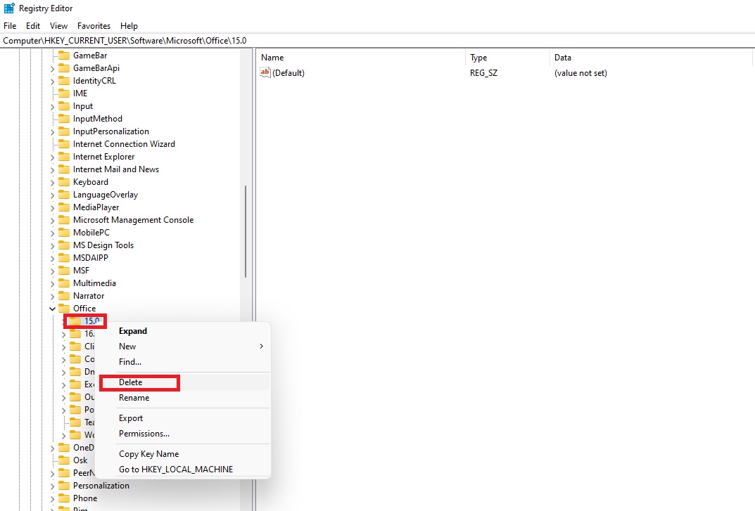 Delete Old version registry key-fix Excel Grey Screen Inactive