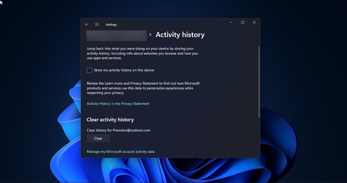 Turn Off Activity History in Windows 11