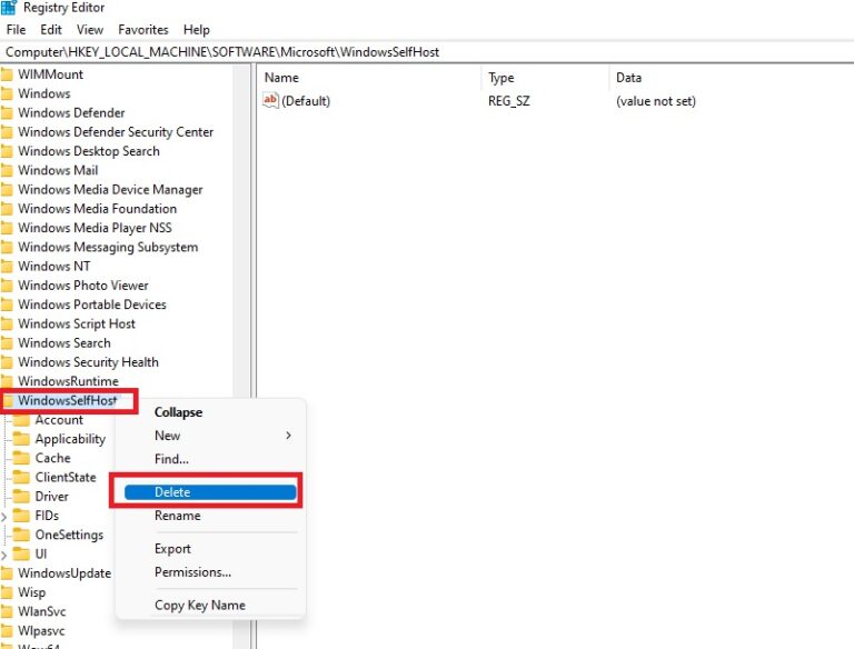 Fix We can’t reach the Windows Insider Program error in Windows 11