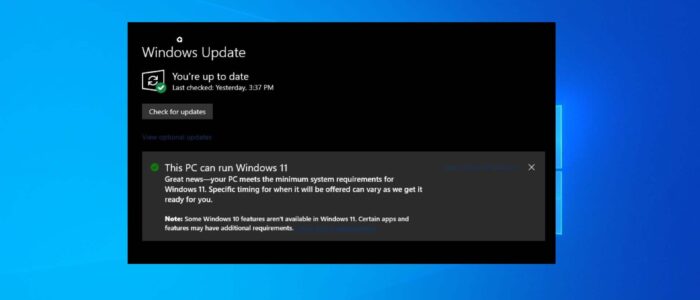 stop windows 11 update feature image