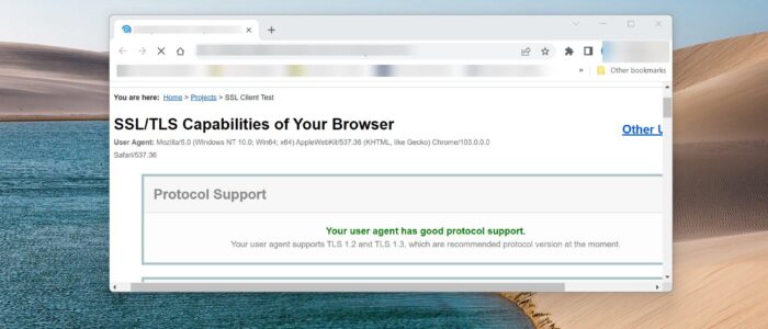 tls 1.3 browser support