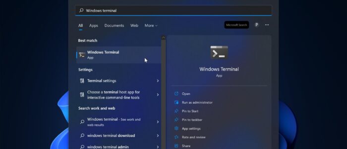 windows terminal app not opening