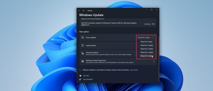 Increase Pause Windows Update