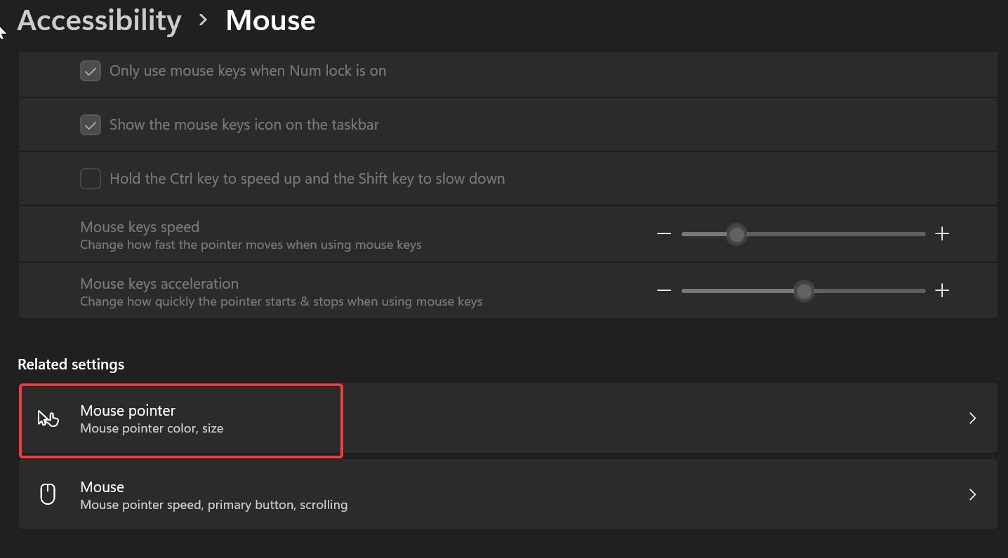 accessibility mouse