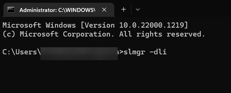 Windows License type command