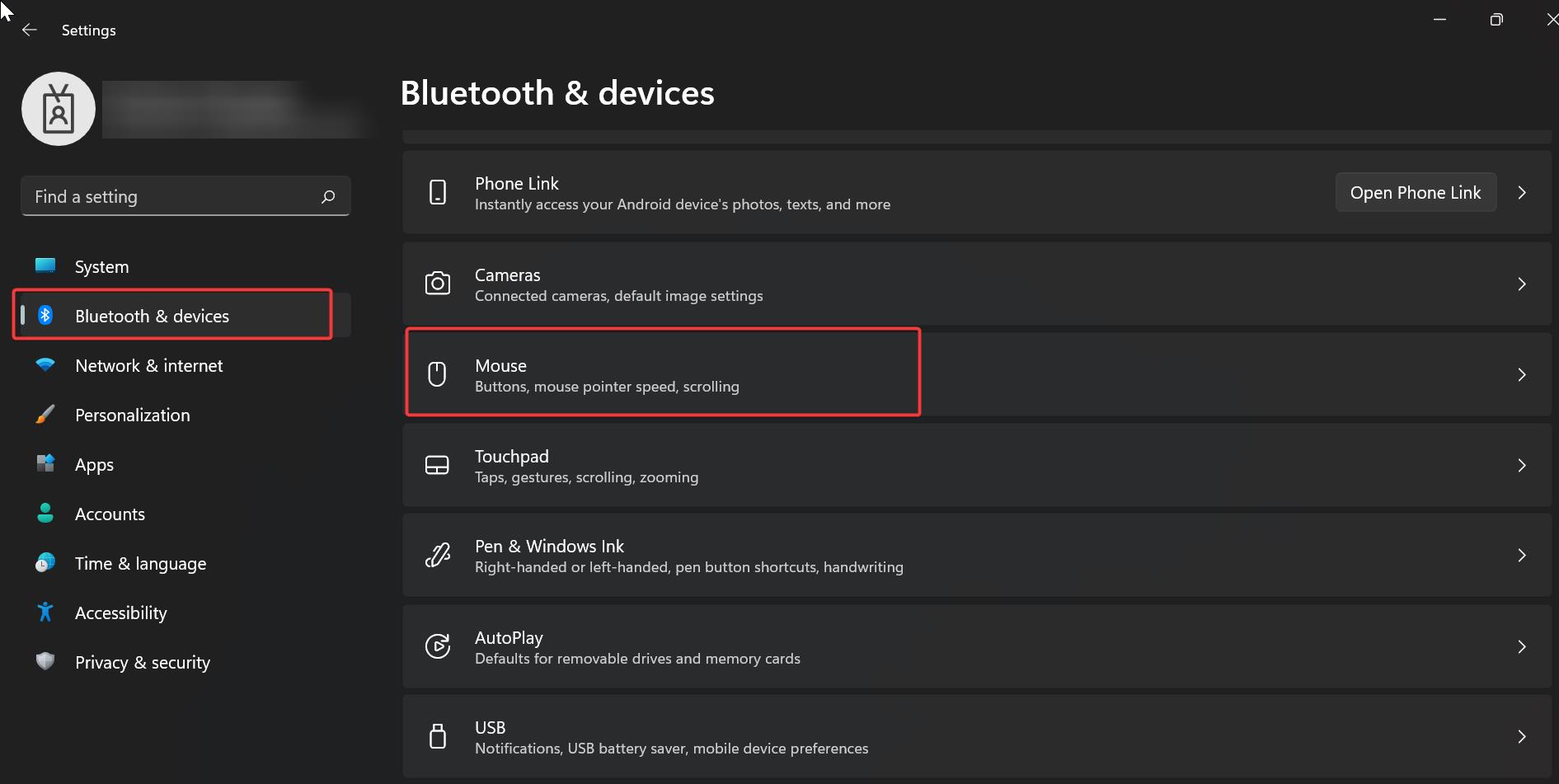 Bluetooth devices and Mouse