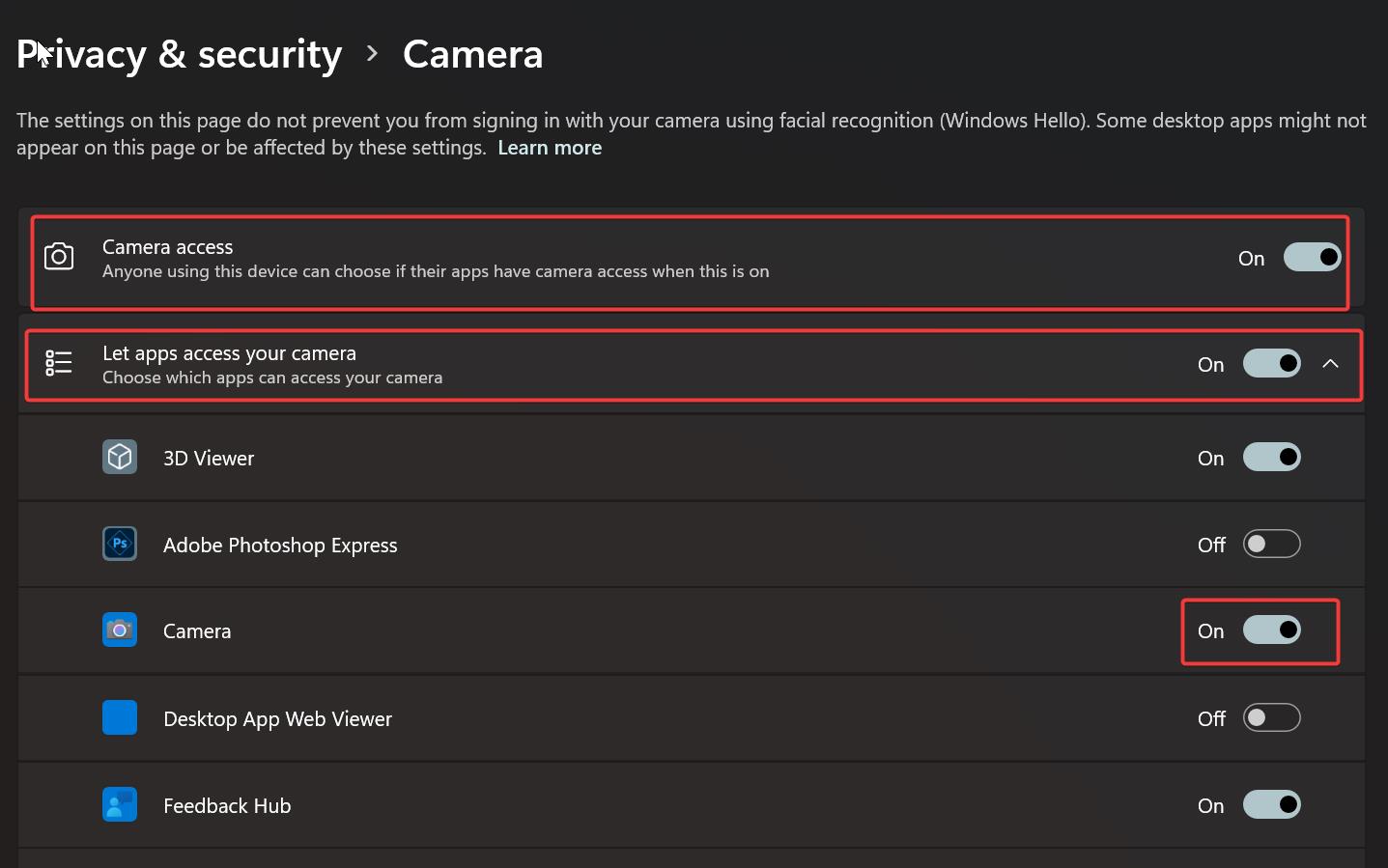 Allow camera access-Can’t start your camera error