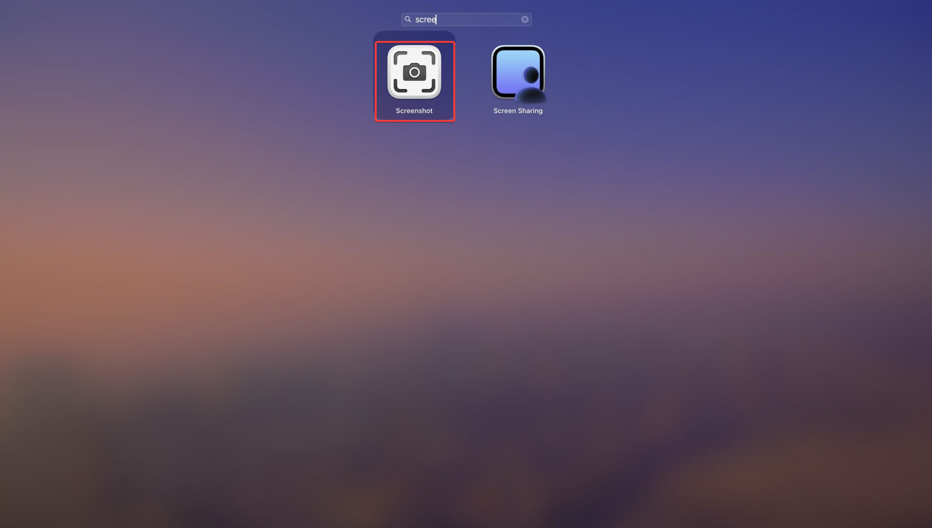 Take Screenshots on Mac using screenshot menu